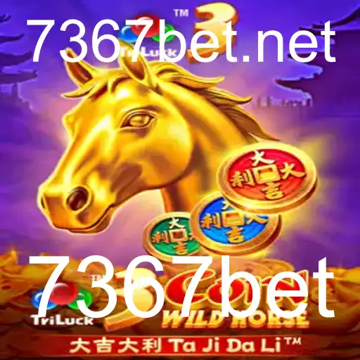 Desvendando o Fascinante Mundo de 3CoinWildHorse